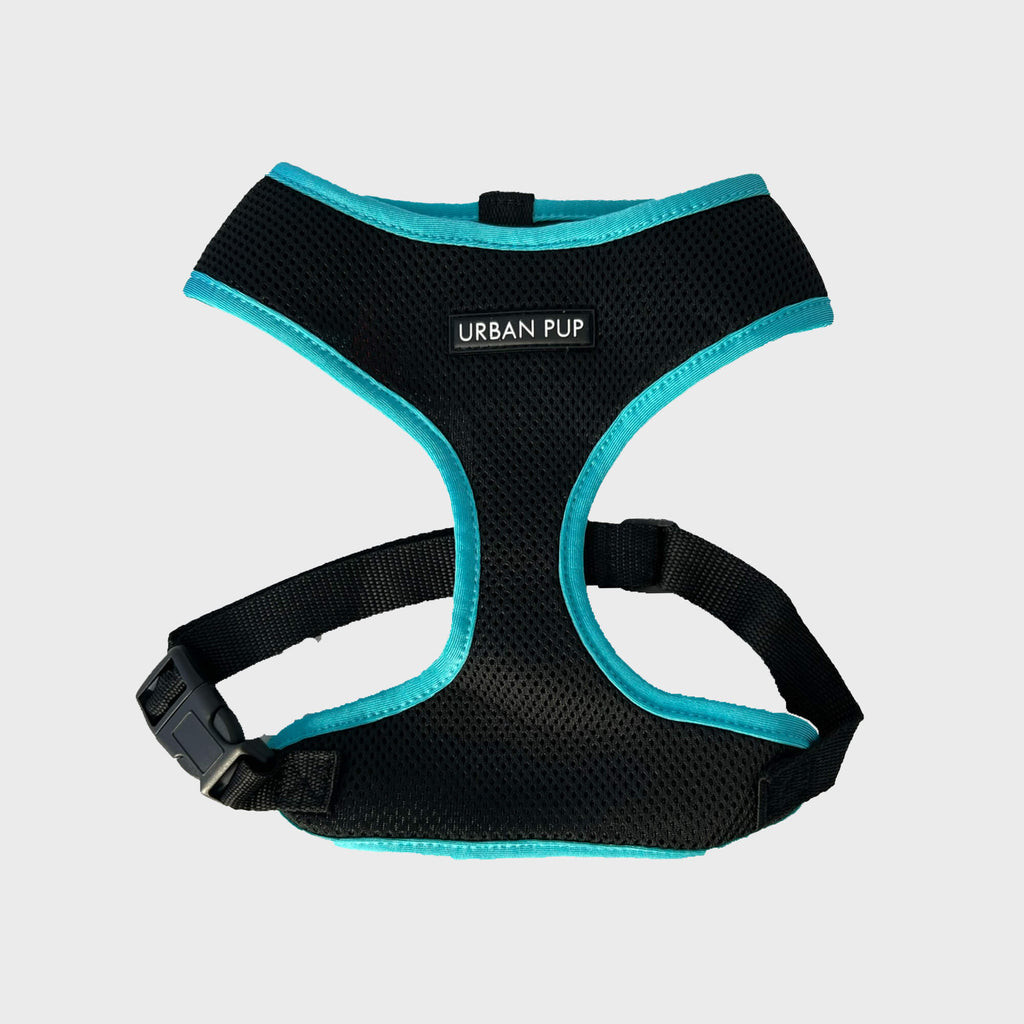 Urban Pup Harness XXS / Neon Blue Active Mesh Harness