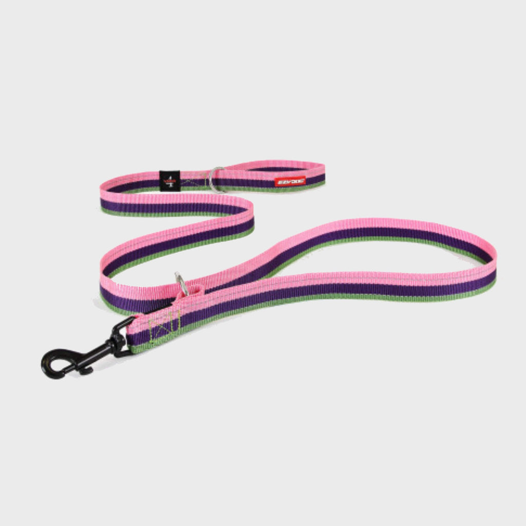 Vario 4 Lead - Slickers ◊ Doghouse