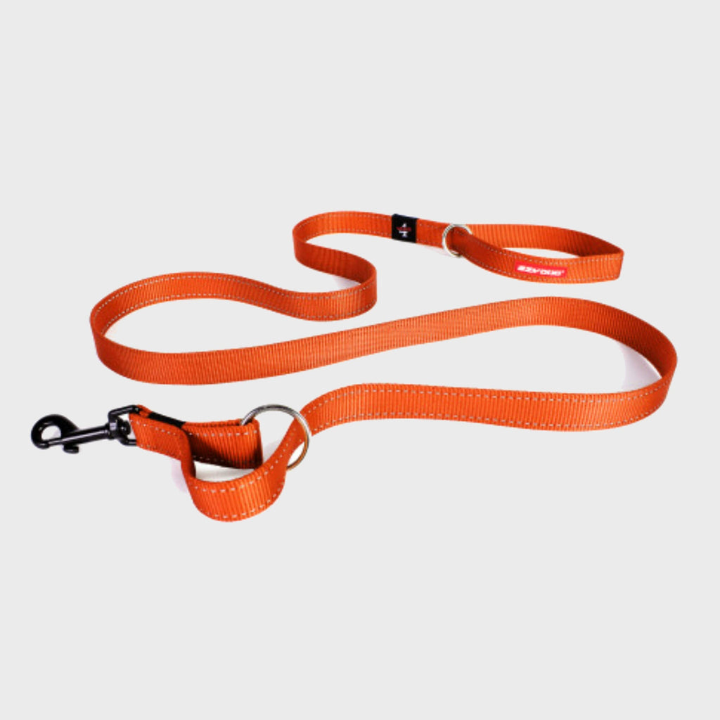 Vario 4 Lead - Slickers ◊ Doghouse
