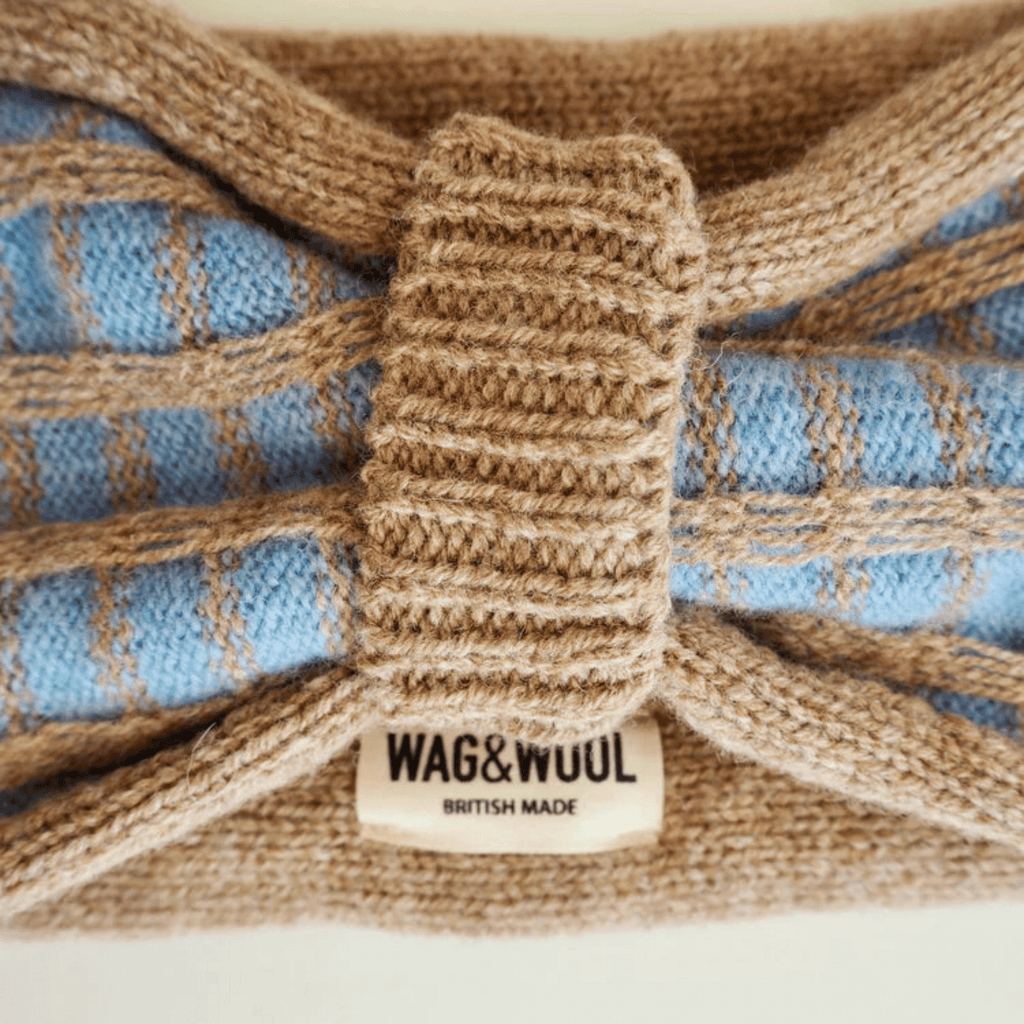 Wag & Wool Apparel & Accessories Headband Paddy Dog Jumper Sky Blue