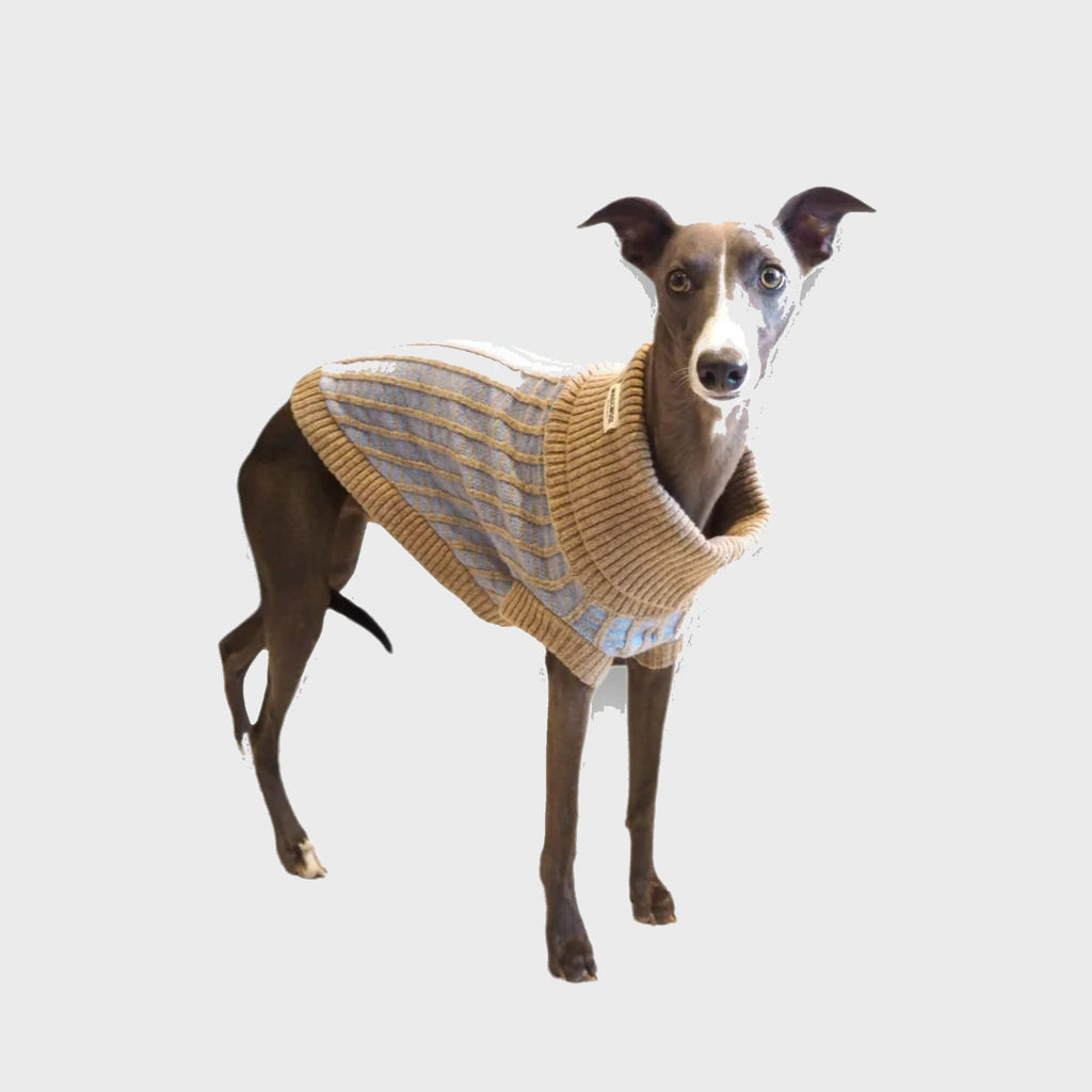 Wag & Wool Apparel & Accessories Large Paddy Dog Jumper Sky Blue