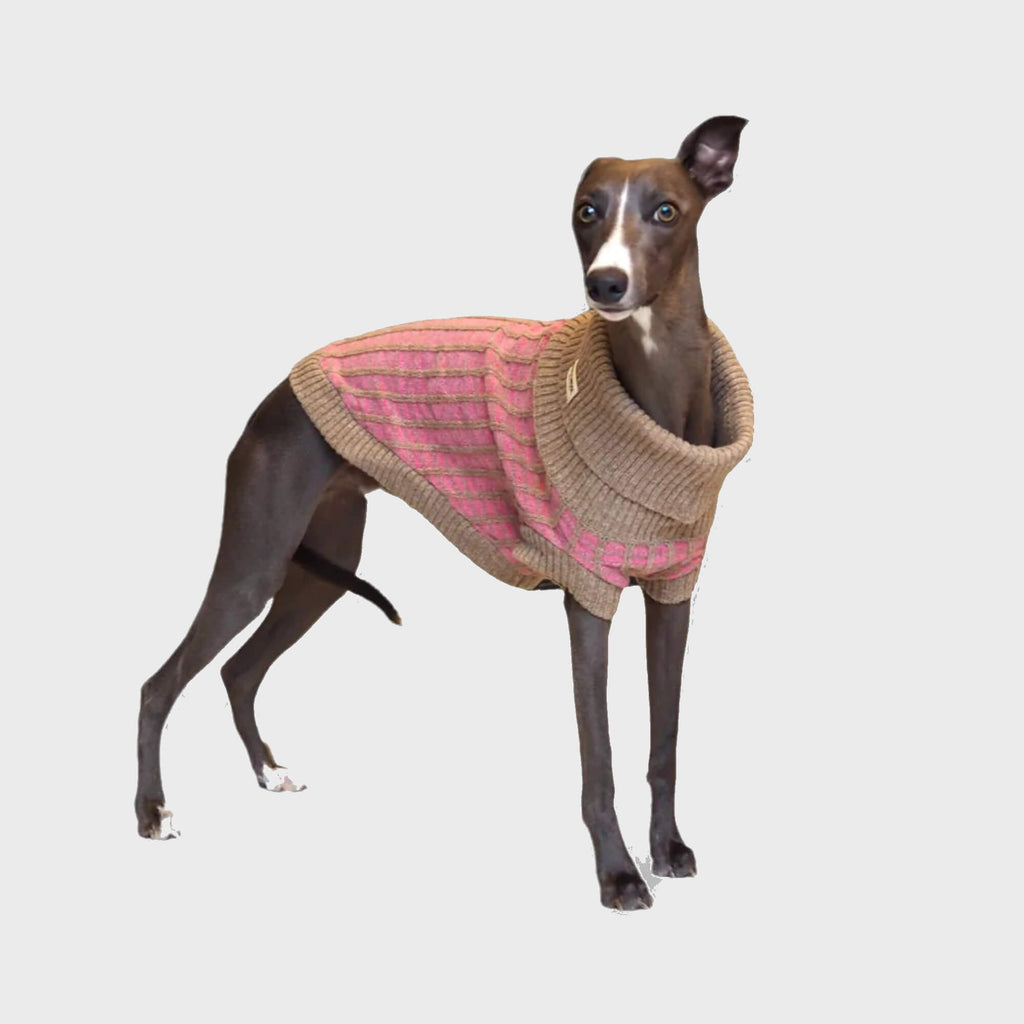 Wag & Wool Apparel & Accessories Paddy Dog Jumper Pink