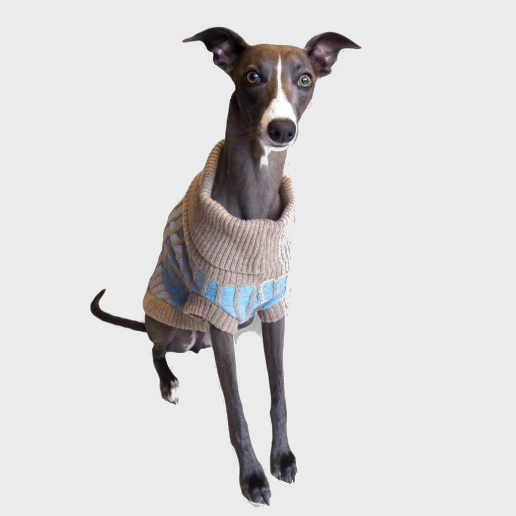 Wag & Wool Apparel & Accessories Medium Paddy Dog Jumper Sky Blue