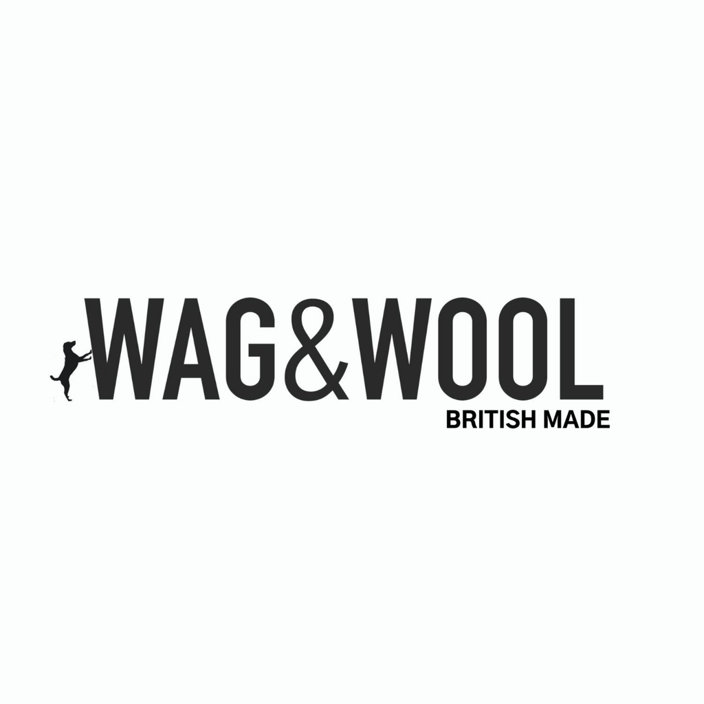 Wag & Wool Apparel & Accessories Monti Burgundy Dog Jumper