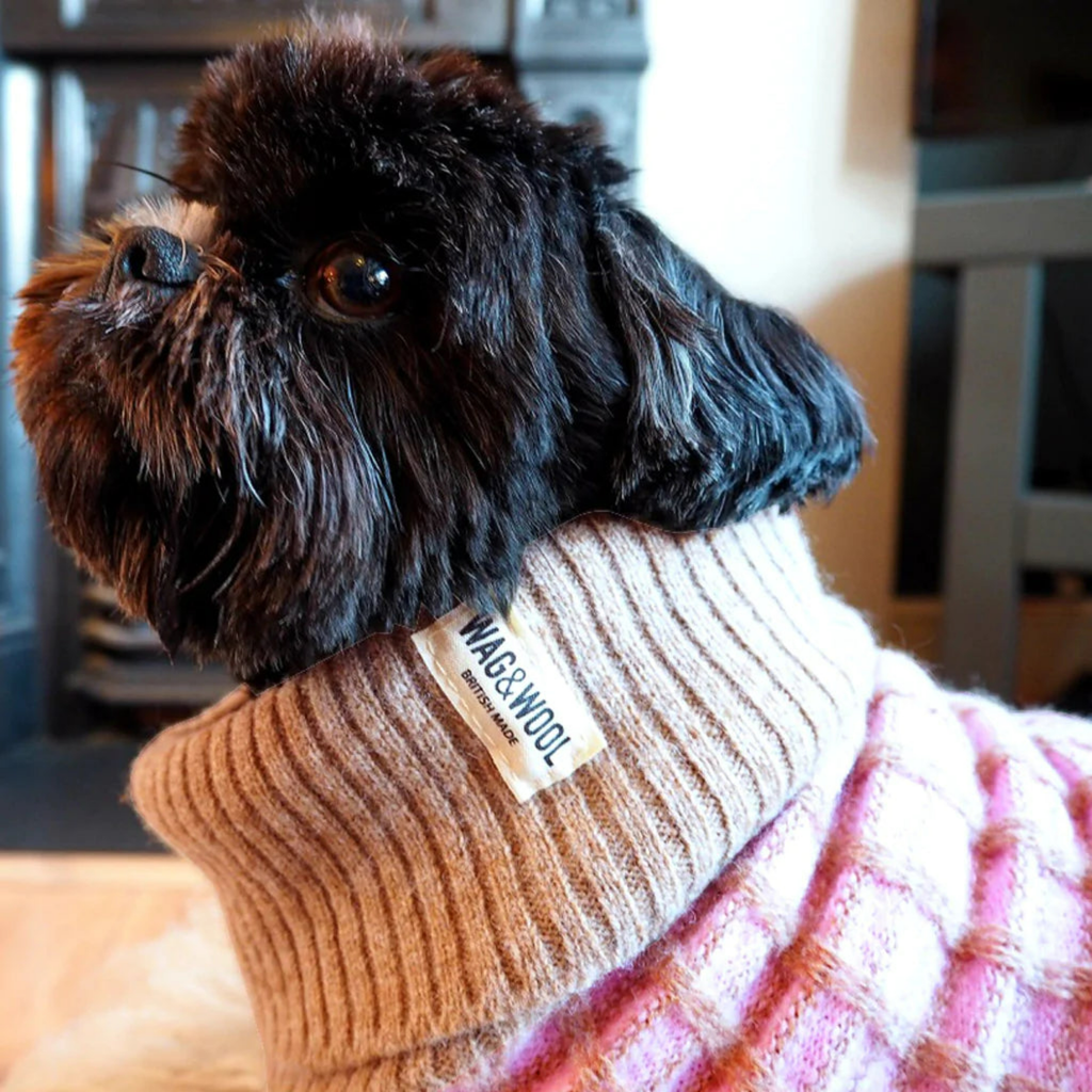 Wag & Wool Apparel & Accessories Small Paddy Dog Jumper Pink
