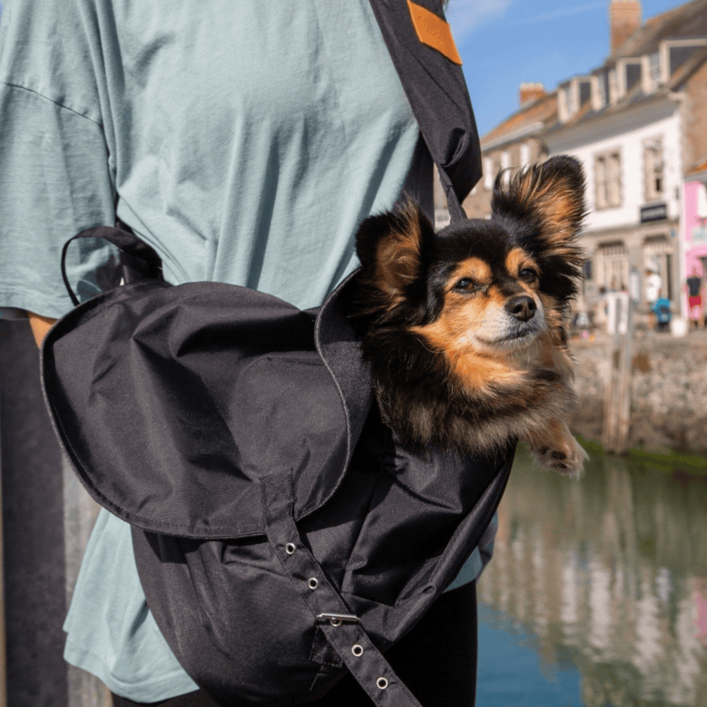 Waterproof Dog Slings - Slickers ◊ Doghouse