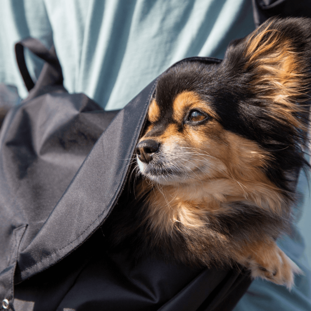 Waterproof Dog Slings - Slickers ◊ Doghouse