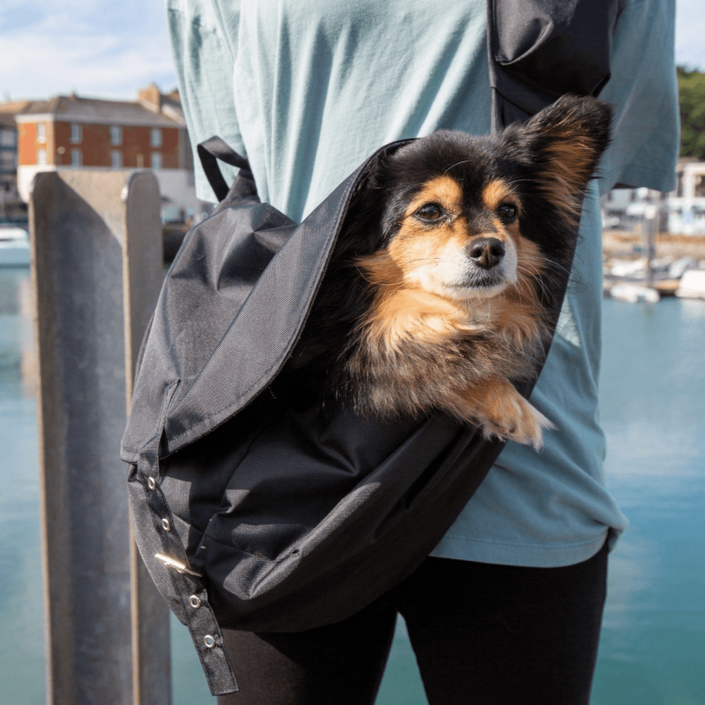 Waterproof Dog Slings - Slickers ◊ Doghouse