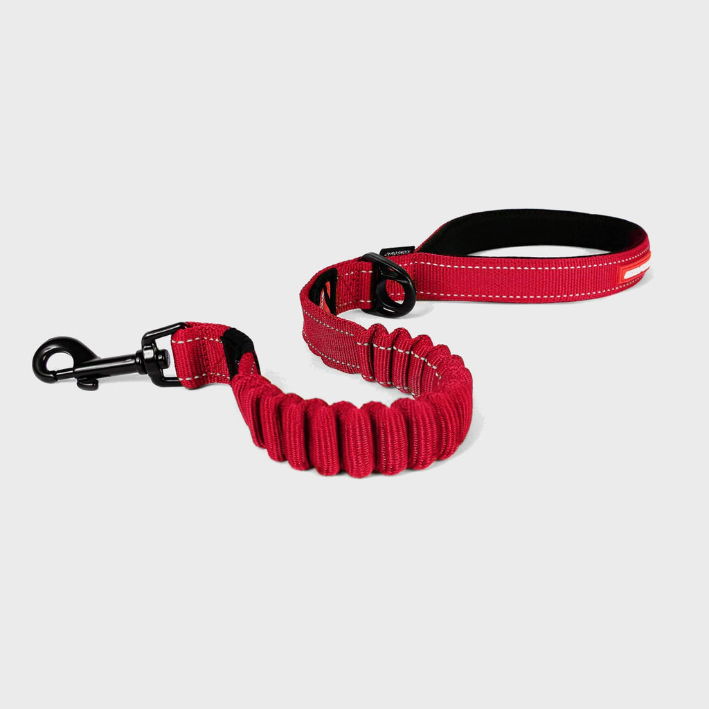 Zero Shock Dog Lead - Long (48") - Slickers ◊ Doghouse