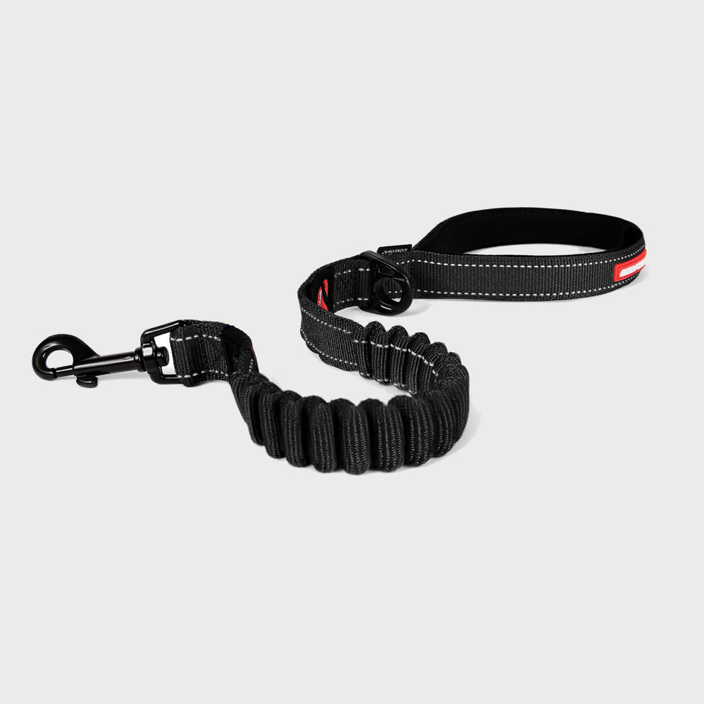 Zero Shock Dog Lead - Long (48") - Slickers ◊ Doghouse