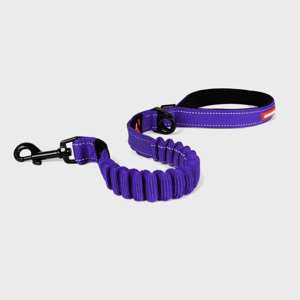 Zero Shock Dog Lead - Long (48") - Slickers ◊ Doghouse