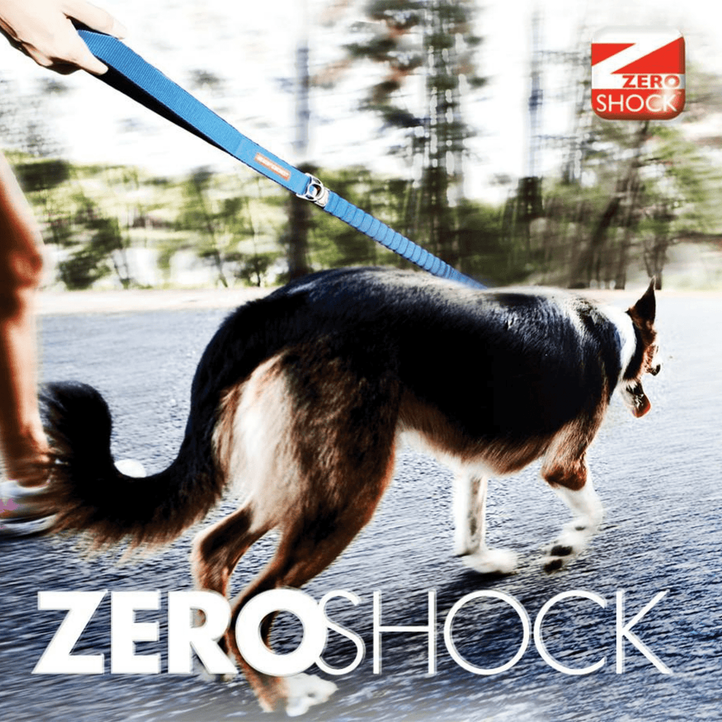 Zero Shock Dog Lead - Long (48") - Slickers ◊ Doghouse